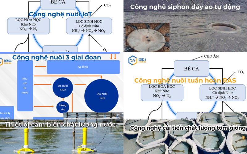 Một số công nghệ cao đã đem lại hiệu quả trong nuôi trồng thủy sản